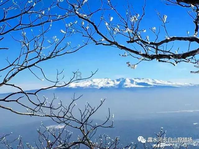 加入男上司生日送什么礼物好5种最佳礼物推荐,获取知识星球的无限可能