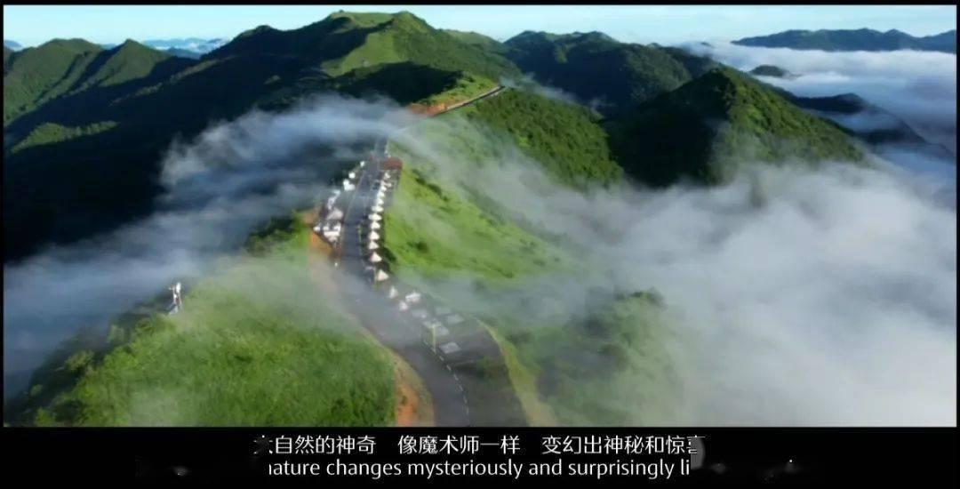 虫虫助手下载